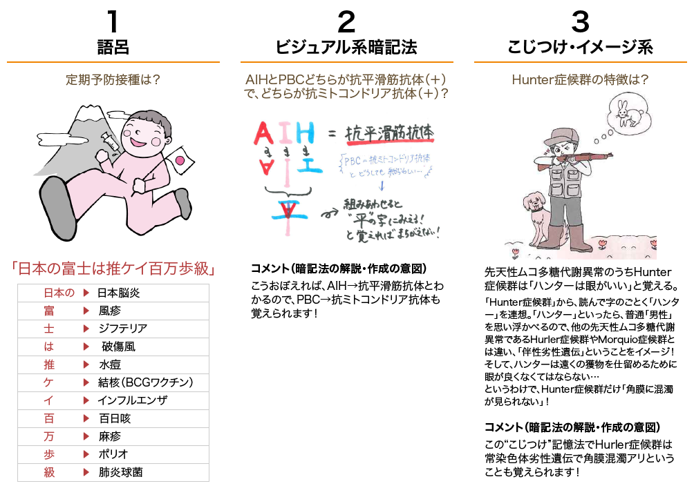 ゴロの例